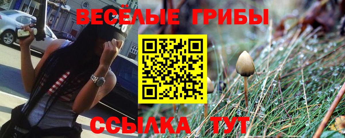 Галлюциногенные грибы мицелий  Вход с VPN  Выборг 
